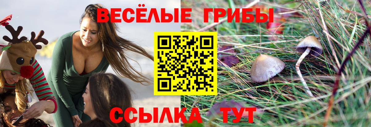 Арсеньев  Псилоцибиновые грибы Magic Shrooms  Вход с VPN 